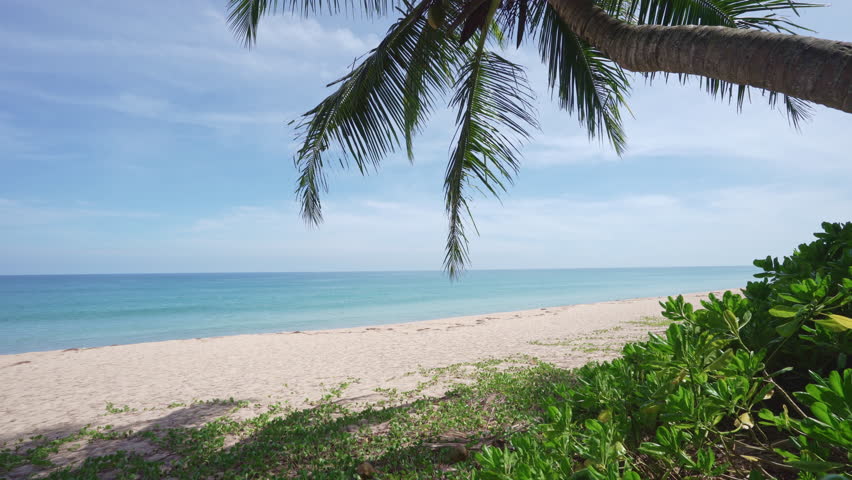Summer beach sea in sunny day beautiful Tropical sea scenic off phuket beach phuket thailand with wave crashing on sandy shore Amazing travel and tour background Copy space