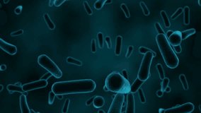 Animation of data processing over virus cells. global science, data processing and digital interface concept digitally generated video. - Powered by Shutterstock - Get 15% off with code: PIKWIZARD15