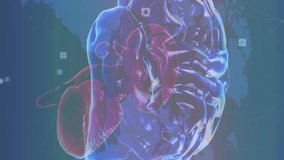 Animation of human brain, data processing over world map. global science, business, connections and data processing concept digitally generated video. - Powered by Shutterstock - Get 15% off with code: PIKWIZARD15