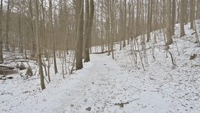 Hiking Trail in a Snowy Winter Forest with Bare Trees - Powered by Shutterstock - Get 15% off with code: PIKWIZARD15