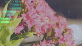 Animation of data processing over contactless payment with card on terminal. Global finance, business, connections, computing and data processing concept digitally generated video. - Powered by Shutterstock - Get 15% off with code: PIKWIZARD15