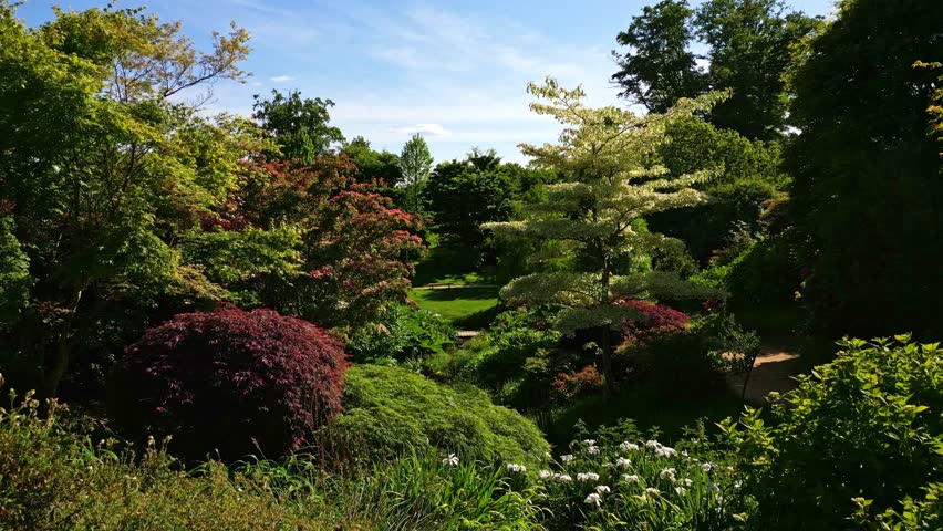 Lush garden with vibrant red and variegated trees, Parc de Haute Bretagne botanical garden, France. Aerial drone forward at low altitude