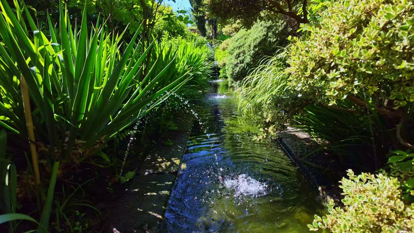 Water fountain bubbles in narrow channel lined with lush green plants, Parc de Haute Bretagne botanical garden, France. Backward shot