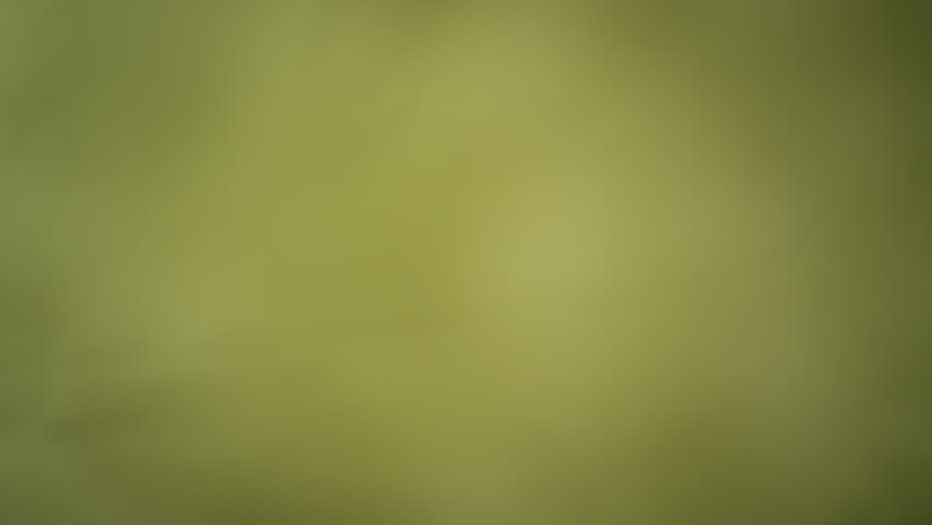 Super Slow Motion Shot of Peeled Pistachio Nuts Falling Around Camera at 1000fps.