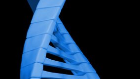 Animation of dna strand over diagrams and data processing. Technology, science and digital interface concept digitally generated video. - Powered by Shutterstock - Get 15% off with code: PIKWIZARD15