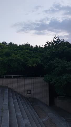 Beautiful glamourous sunrise view over trees and high-rise buildings in the natural environment