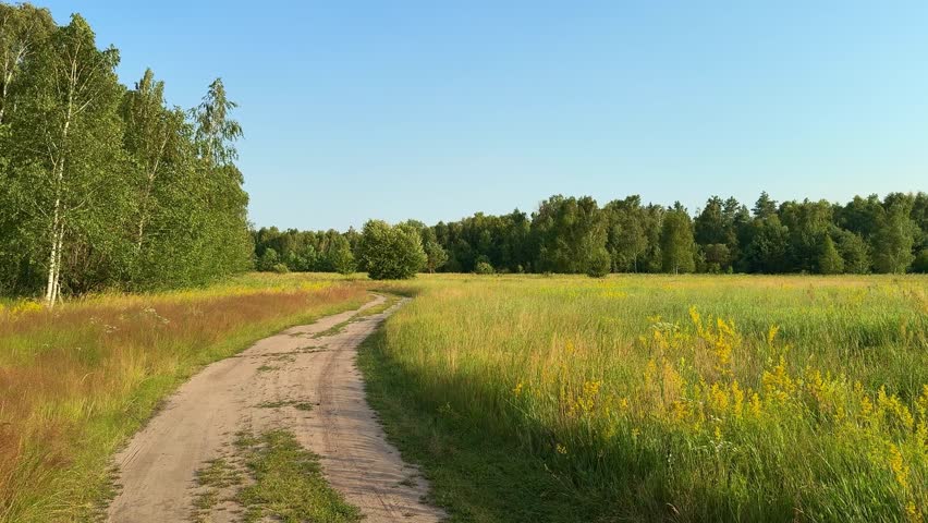 Serene 4K video footage of a dirt road running between a lush green birch forest and a meadow with reddish-brown grass. A peaceful rural landscape under a partly cloudy blue sky.