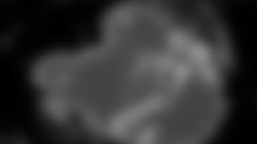 Animation of globe, data processing over scopes scanning. Global computing, digital interface and data processing concept digitally generated video. - Powered by Shutterstock - Get 15% off with code: PIKWIZARD15