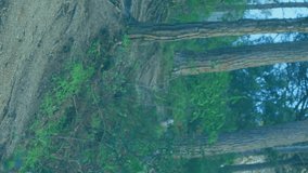 Animation of handwritten mathematical equations recording over man cycling in forest in the background. Technology digital data processing measuring concept digital composite. - Powered by Shutterstock - Get 15% off with code: PIKWIZARD15