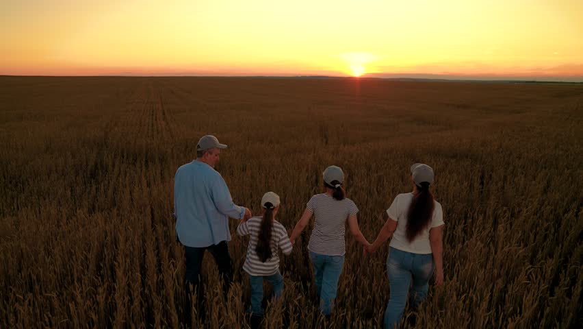 Dad mom daughter walk holding hands. Happy family of farmers with children walking through wheat field. Large family of farmers, group of people united by one idea. Children's education, parenting
