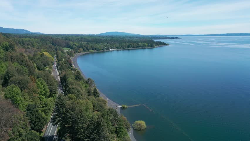 Aerial View of Curved Lakeshore Road Surrounded by Dense Forest and Calm Blue Water Under a Clear Sky