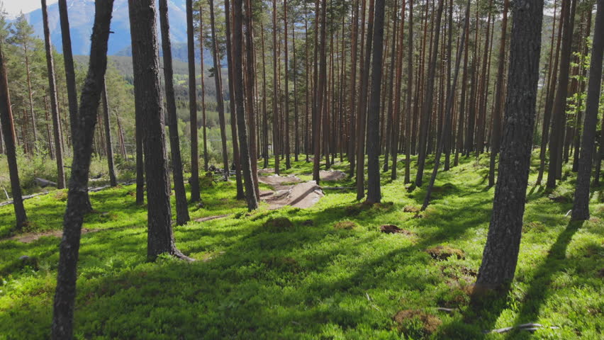 Epic mountain biking adventure above the fjords near Sogndal, Norway. Rider tackles rugged trails surrounded by dramatic cliffs, lush green hills, and stunning Nordic scenery.