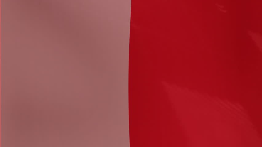 Mathematical graph and equations animation over red and white waving flag. Mathematics, motion, abstract, data, analysis, visual - Powered by Shutterstock - Get 15% off with code: PIKWIZARD15