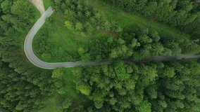 Drone view of cyclists riding on a road through the forest. Outdoor sports and family activity - Powered by Shutterstock - Get 15% off with code: PIKWIZARD15