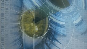 Animation of scopes scanning over human eye. global connections, data processing and digital interface concept digitally generated video. - Powered by Shutterstock - Get 15% off with code: PIKWIZARD15
