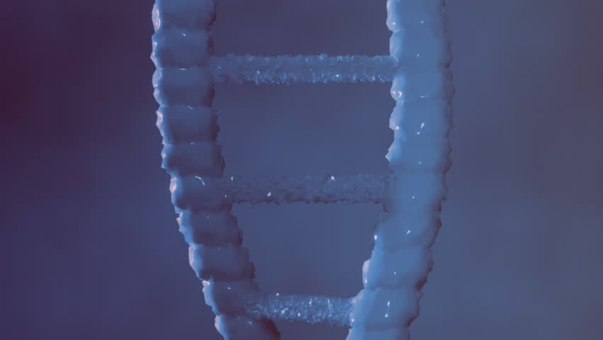 Animation of dna rotating over math formulas on violet background. Science, human biology and technology concept digitally generated video. - Powered by Shutterstock - Get 15% off with code: PIKWIZARD15