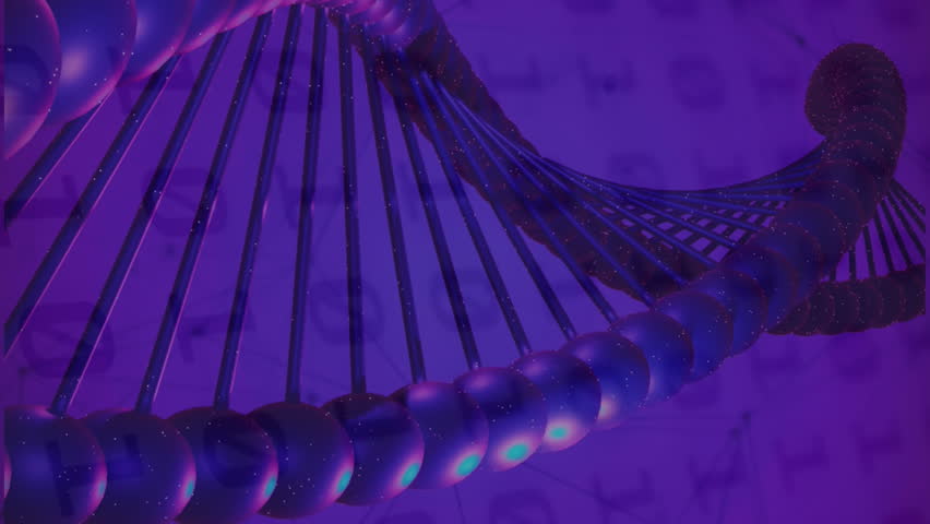 Animation of qr code, binary coding, data processing over dna strand spinning. Global science, data processing, connections and cloud computing concept digitally generated video. - Powered by Shutterstock - Get 15% off with code: PIKWIZARD15