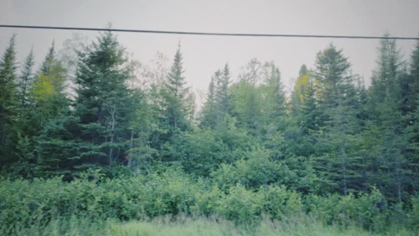 Road view in Charlevoix, Quebec, Canada. Vintage road trip.