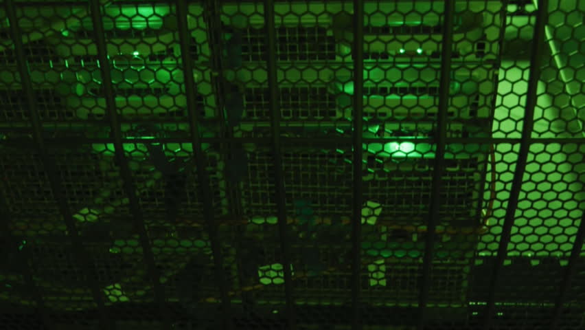 Animation of binary coding data processing and symbols against computer server room. Computer interface and business data storage technology concept - Powered by Shutterstock - Get 15% off with code: PIKWIZARD15