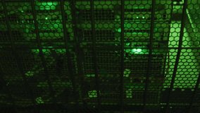 Animation of binary coding data processing and symbols against computer server room. Computer interface and business data storage technology concept - Powered by Shutterstock - Get 15% off with code: PIKWIZARD15