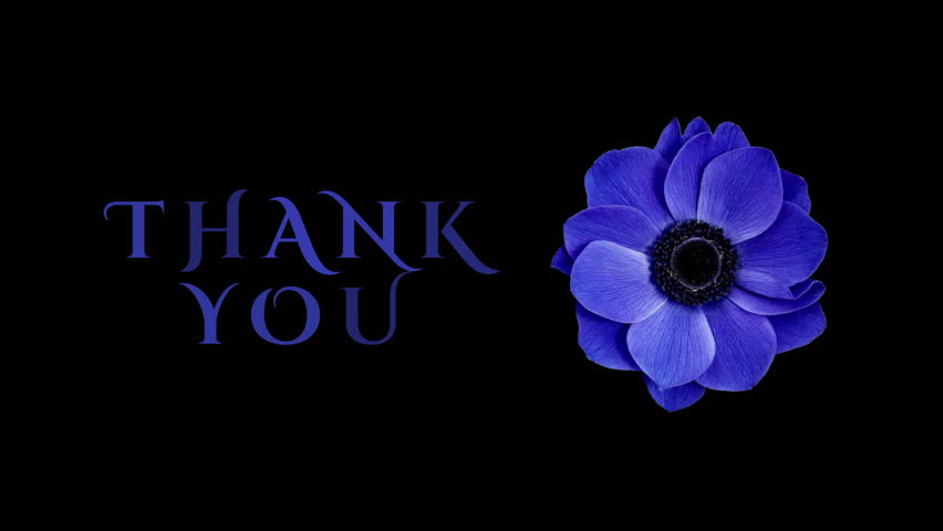 Thank you text animation with purple flowers background. thanks for watching