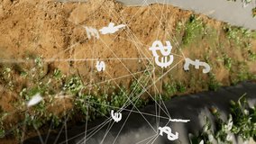 Financial symbols and network connections animation over rows of crops in field. Agriculture, finance, technology, innovation, farming, data - Powered by Shutterstock - Get 15% off with code: PIKWIZARD15