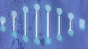 Animation of 3d blue dna strand spinning over insect. Global medicine, science and genetics digitally generated video. - Powered by Shutterstock - Get 15% off with code: PIKWIZARD15