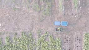 Animation of digital icons and data processing over field. global digital interface, data processing and technology concept digitally generated video. - Powered by Shutterstock - Get 15% off with code: PIKWIZARD15