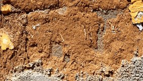 Slow horizontal panning video of an old weathered wall with peeling yellow paint, exposed adobe texture, and coarse cement. Ideal for use as a background or overlay in architectural or design projects - Powered by Shutterstock - Get 15% off with code: PIKWIZARD15