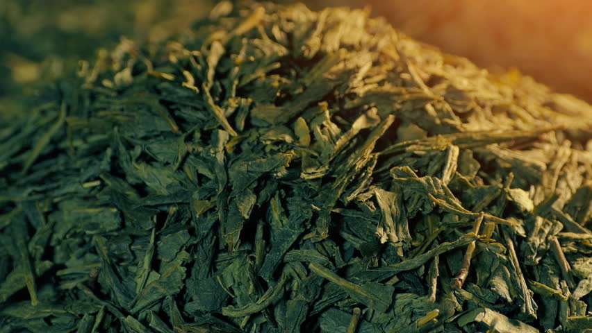Green Tea Health Food In Sun Glow