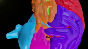 Animation of digital brain spinning over mathematical equations. Technology, ai and digital interface concept digitally generated video. - Powered by Shutterstock - Get 15% off with code: PIKWIZARD15