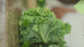 Animation of hearts over senior african american couple cooking. senior home hangout and digital interface concept digitally generated video. - Powered by Shutterstock - Get 15% off with code: PIKWIZARD15