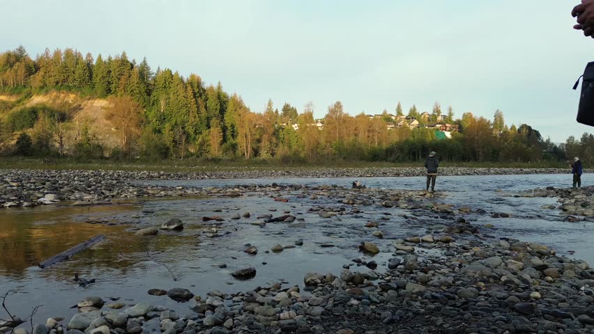 Golden hour over Chilliwack River surrounded by evergreen forest in British Columbia, Canada. Peaceful water flow with warm light and natural reflections.Photo taken on 20-03-2025