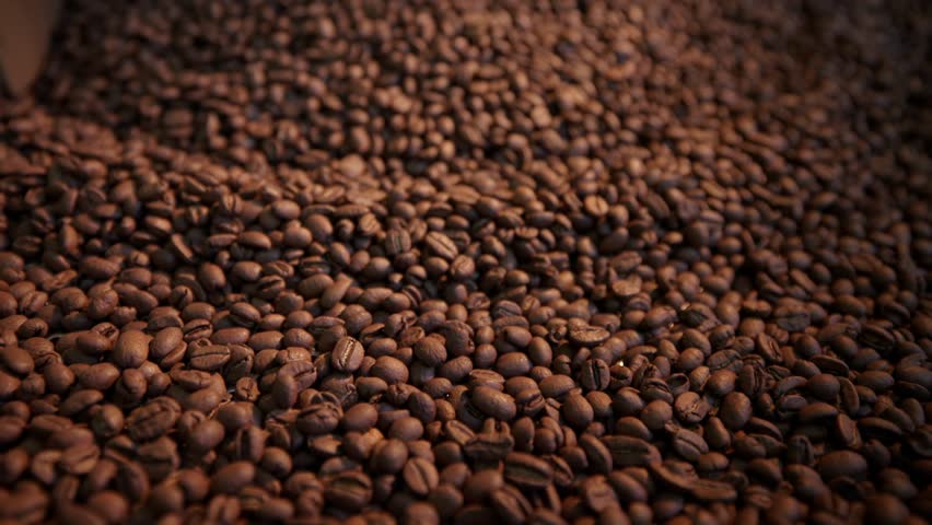 Dynamic coffee roasting process, fresh brown beans turned to perfection in rotating drum.