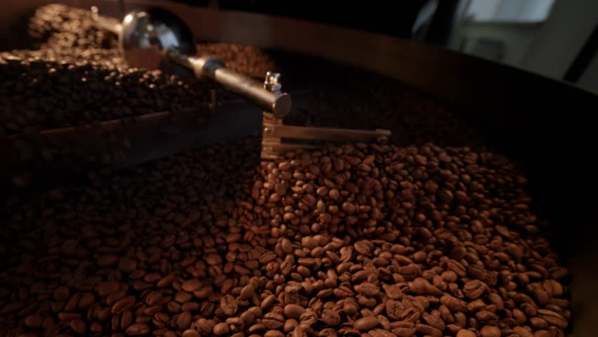 Artisan coffee roasting process, freshly roasted beans cooling and stirring machine in industry factory.