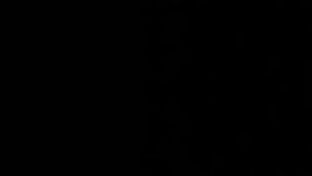 Animation of trading board over graph, loading circles, navigation pattern and lines. Digitally generated, hologram, stock market, investment, report, finance, progress and technology concept. - Powered by Shutterstock - Get 15% off with code: PIKWIZARD15