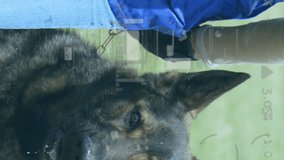 Animation of financial data processing over caucasian man with dog in grass. Global farming, business, finances, computing and data processing concept digitally generated video. - Powered by Shutterstock - Get 15% off with code: PIKWIZARD15