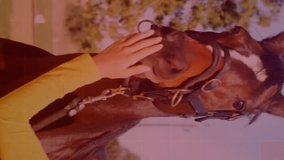 Animation of financial data processing over caucasian woman with horse. Sports, business, connections, computing and data processing concept digitally generated video. - Powered by Shutterstock - Get 15% off with code: PIKWIZARD15