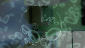 Animation of purple virus cells over female doctor. Health, medicine, biology, science and covid 19 pandemic concept digitally generated video. - Powered by Shutterstock - Get 15% off with code: PIKWIZARD15