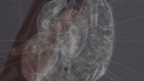 Animation of globe and network of connections with digital icons over warehouse. Global networking and technology concept. - Powered by Shutterstock - Get 15% off with code: PIKWIZARD15