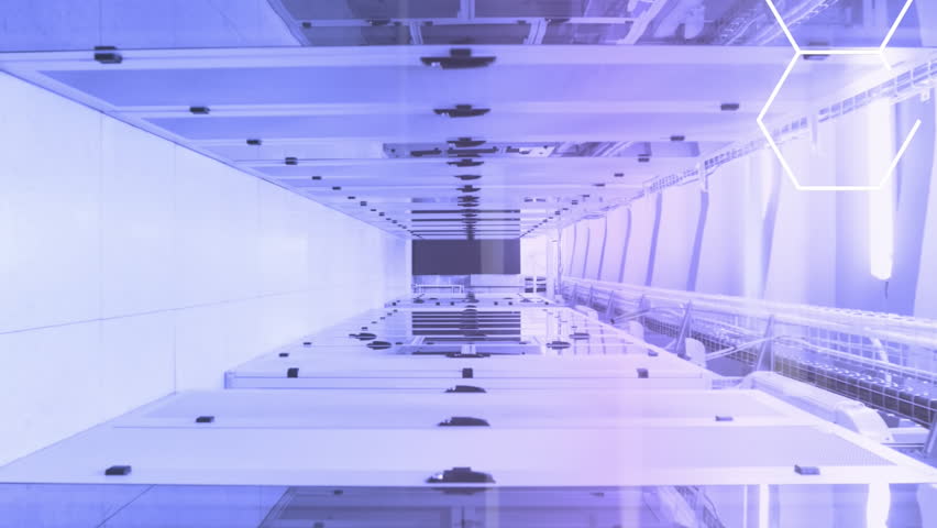 Animation of graphs, globes, hexagons, computer language over server room. Digital composite, report, business, globalization, coding, data center, network server, networking and technology concept. - Powered by Shutterstock - Get 15% off with code: PIKWIZARD15