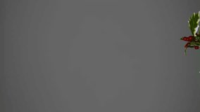 Animation of merry christmas 2021text banner over red berries and fir tree branches on grey surface. Christmas festivity and celebration concept - Powered by Shutterstock - Get 15% off with code: PIKWIZARD15