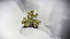 Some small gold flakes are visible up close along with some black sand grains. - Powered by Shutterstock - Get 15% off with code: PIKWIZARD15