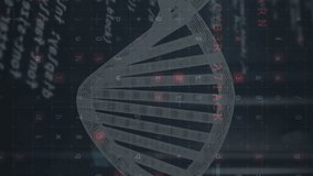 Animation of spinning dna strand over server room. Global science and data processing concept digitally generated video. - Powered by Shutterstock - Get 15% off with code: PIKWIZARD15