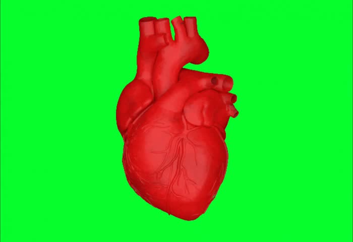Animation Heart Beat 4K, Green Screen Background