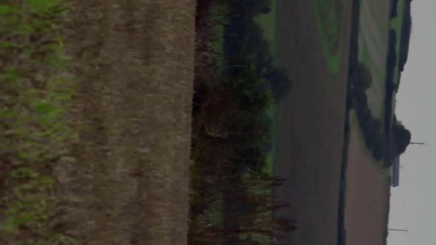 Animation of globe with binary coding and digital data processing over wind turbine. Global environment, connections, computing and data processing concept digitally generated video. - Powered by Shutterstock - Get 15% off with code: PIKWIZARD15