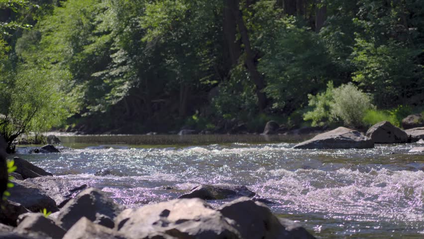 4K telephoto footage captures Yosemite’s merced river flowing past granite banks while fish break the surface in distant splashes. Ideal for nature, wildlife, or outdoor-adventure projects