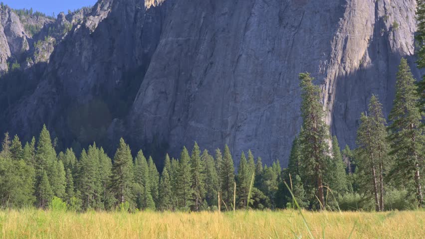 4K static wide shot of a sun-lit Yosemite meadow where cottonwoods and pines sway gently; behind them, a monolithic granite wall