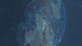 Animation of social media icons with numbers over digital brain and world map. Global technology, computing and digital interface concept digitally generated video. - Powered by Shutterstock - Get 15% off with code: PIKWIZARD15