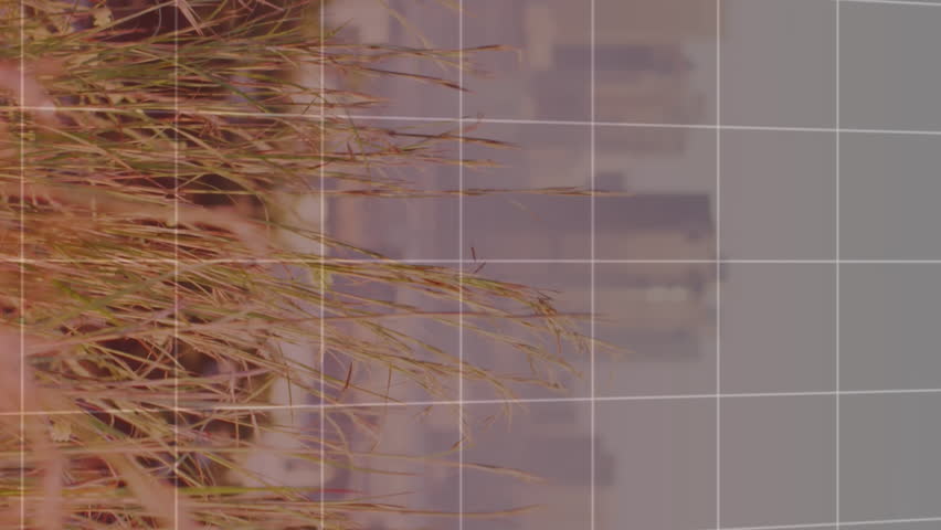 Animation of financial data processing over boxes on conveyor belts. Ukraine crisis and international politics concept digitally generated video. - Powered by Shutterstock - Get 15% off with code: PIKWIZARD15